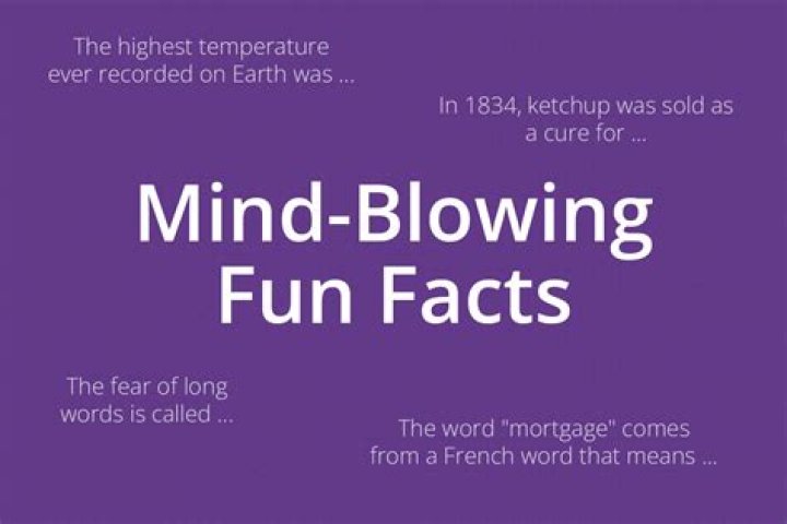 19 Mind-blowing Facts About Bonnie Bedelia - Facts.net