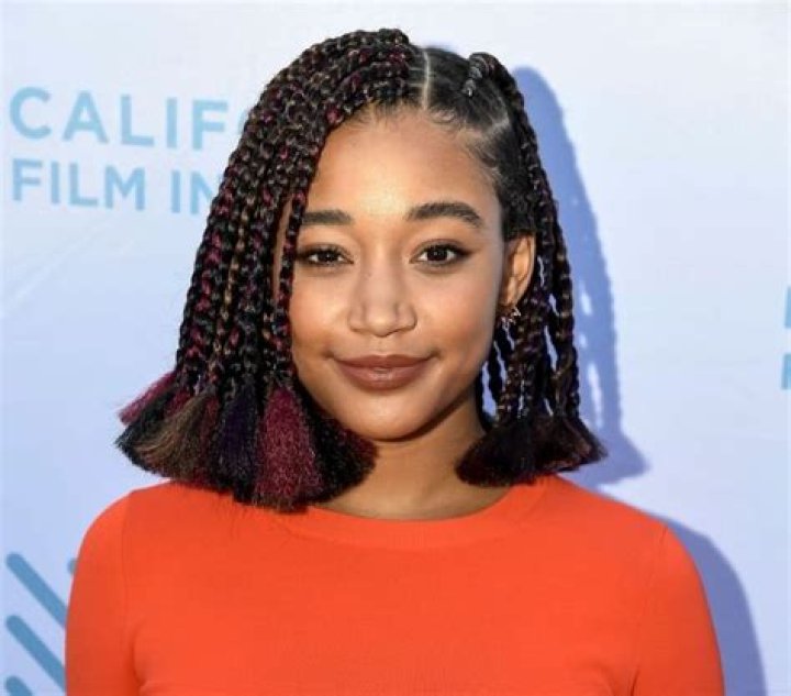 Amandla Stenberg Bio, Movies, Age, Parents, Net Worth, Partner, Ethnic, Mother, TV Shows, Siblings, Wiki