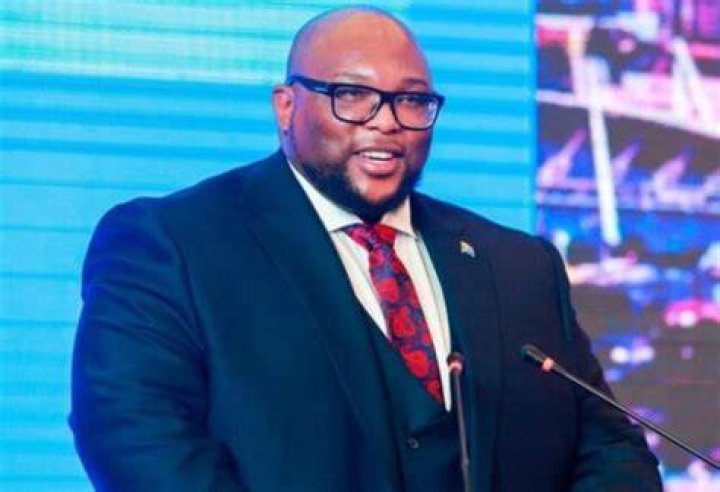 Andile Ramaphosa Bio, Age, Wife, Net Worth, Instagram, Images, Company, Wedding, House, Children, Contacts