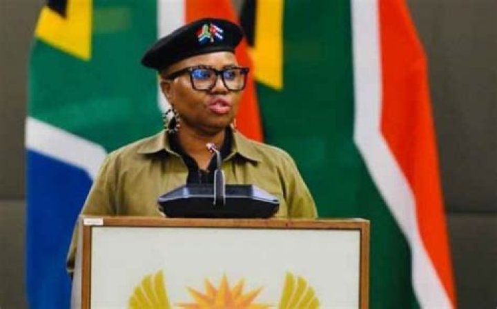 Lindiwe Zulu Bio, Age, Net Worth, Husband, Twitter, Married, Speech Today, Qualifications, Contact Details, Pictures