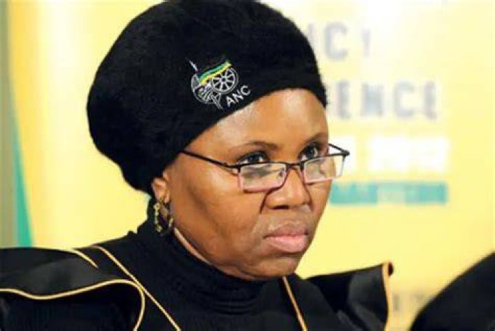 Lindiwe Zulu Biography, Age, Net Worth, Husband, Twitter, Married, Speech Today, Qualifications, Pictures, Contact Details