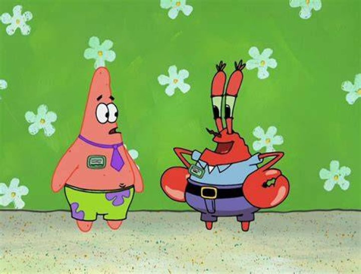 Mr Patrick Picture