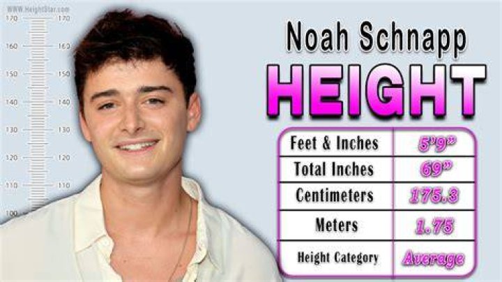 Noah Schnapp Biography, Age, Height, Net Worth, Twin, TikTok, Girlfriend, Movies, Sister