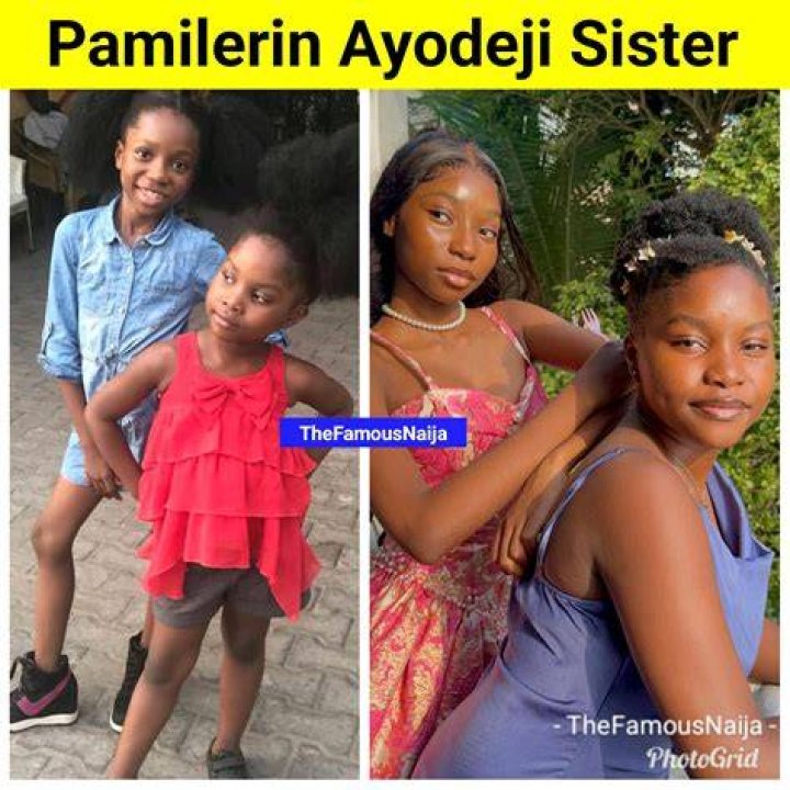 Pamilerin photo ()