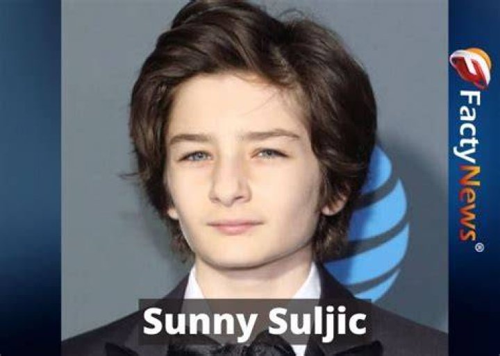 Sunny Suljic Biography, Age, Height, Net Worth, Birthday, Siblings, Parents, Movies, Wikipedia