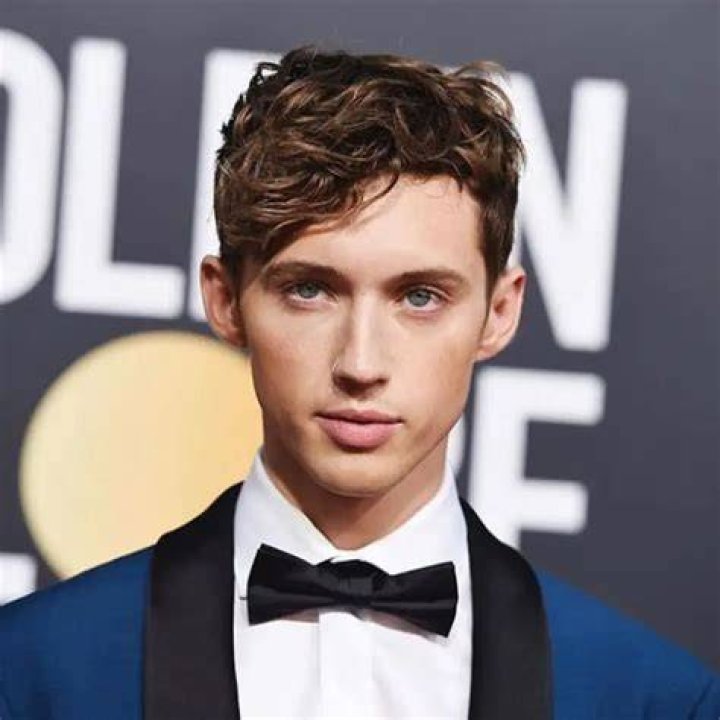 Troye Sivan Bio, Net Worth, Partner, Age, Songs, Lyrics, Relationship, Height, Wiki, Siblings