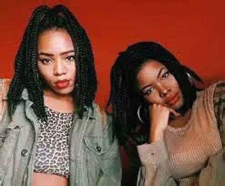 VanJess net worth
