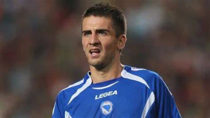 Vedad Ibisevic Bio, Age, Wiki, Salary, Net Worth, Club, FIFA, News, Girlfriend, Spouse, Wiki, Height, Instagram
